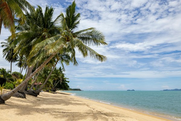 Explore Birdwatching in the Norfolk Broads: Expert Tips and Proven Best Practices