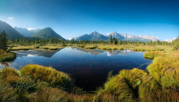 Dive into Marine Archaeology: Explore Top UK Coastal Towns with Expert-Led Tours